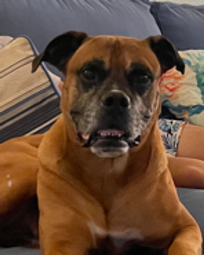 Duke ?'s obituary image