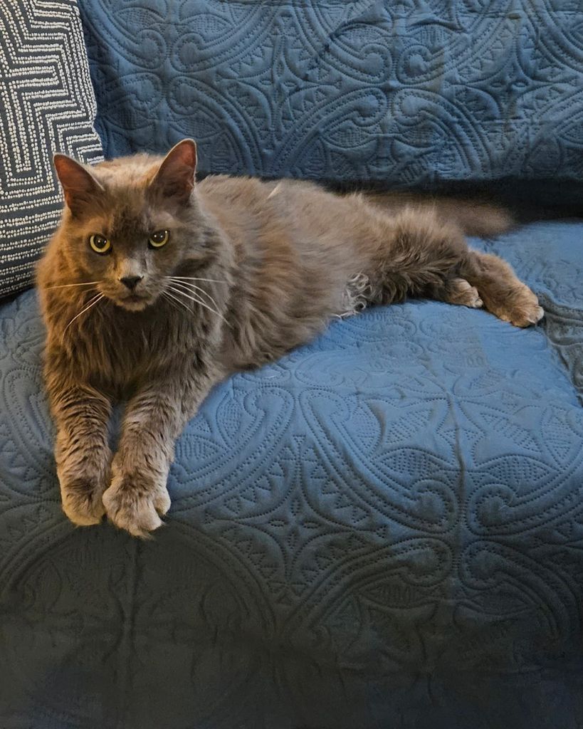 Finny Pearl Richert Profile Photo