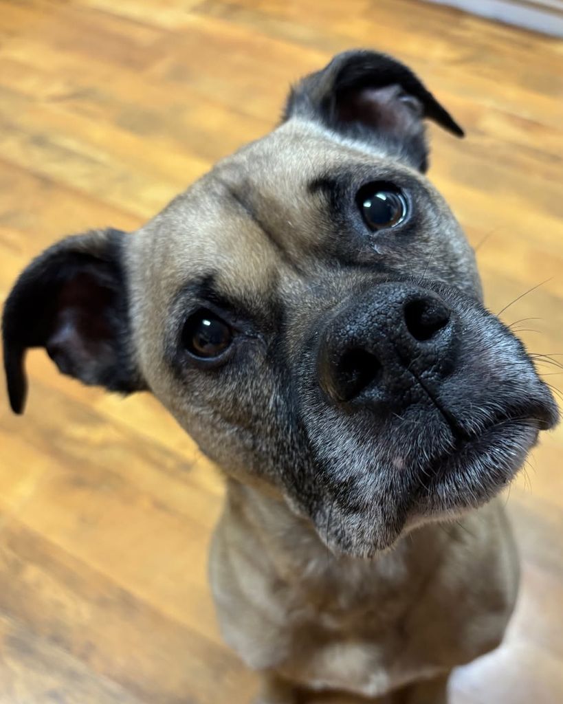 Rocky Stidham Profile Photo