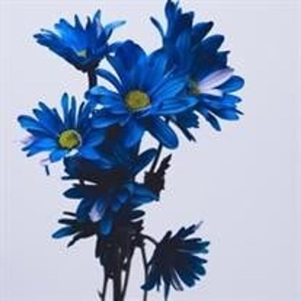 Carol L. Rich