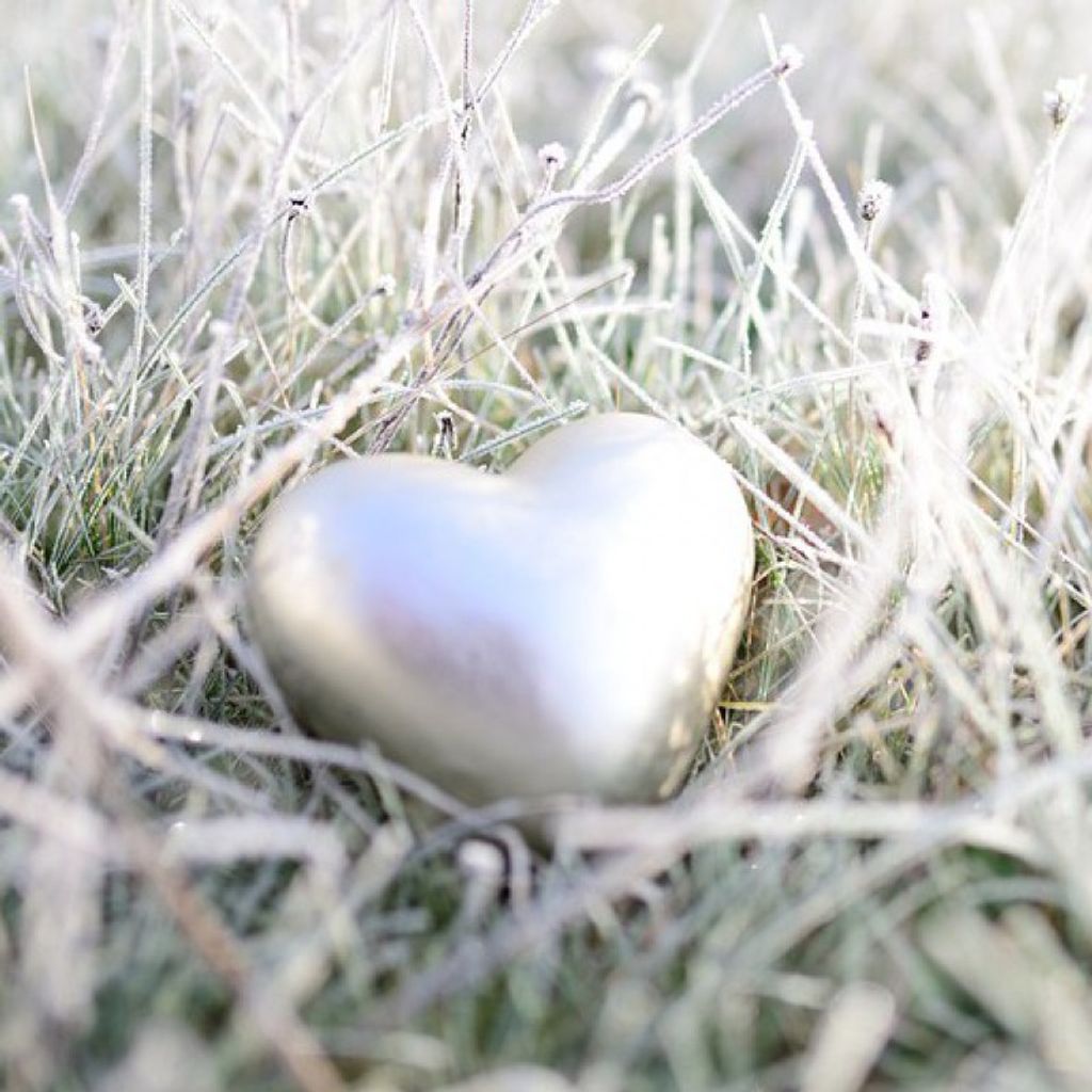 Janice Blough Profile Photo