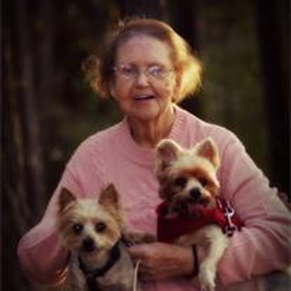 Laura Allen House Profile Photo