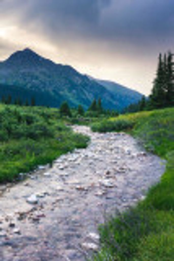 William Miller Profile Photo