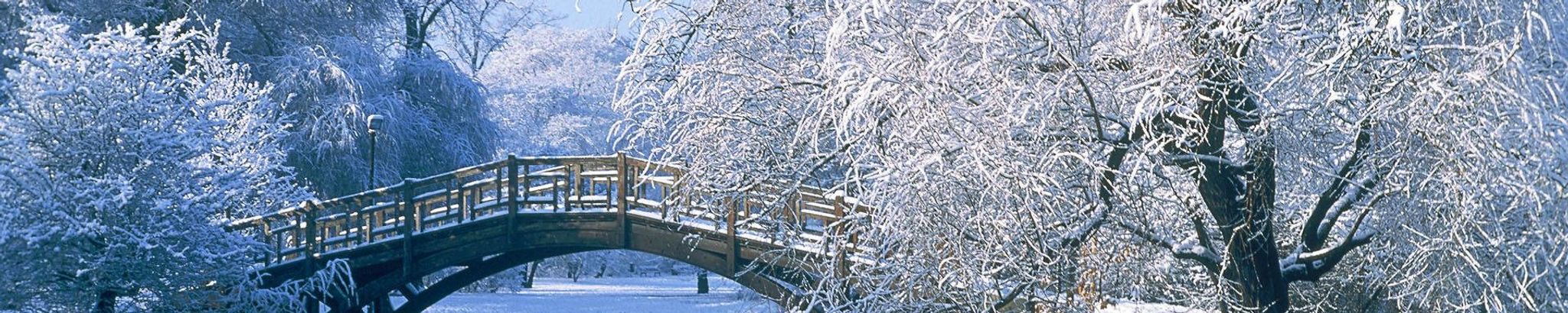 Cover for Betty Sue Adams's Obituary