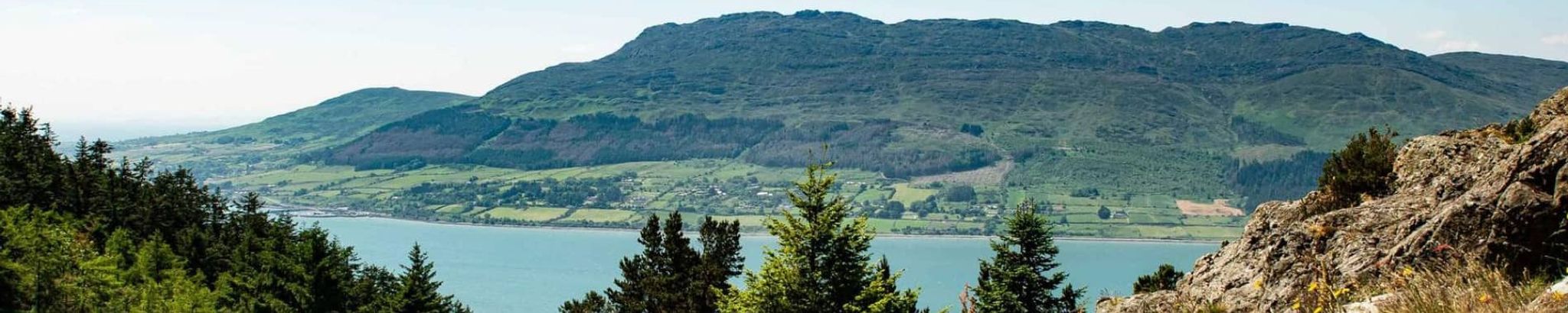 Cover for Larry Meegan's Obituary