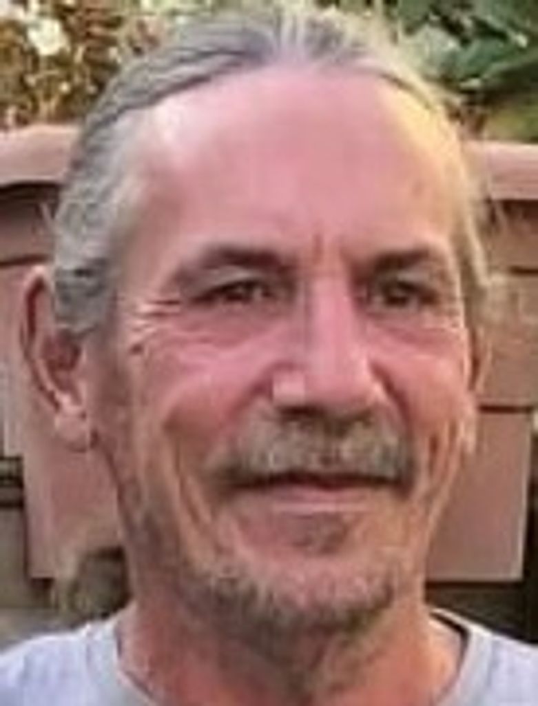 David A Polefko