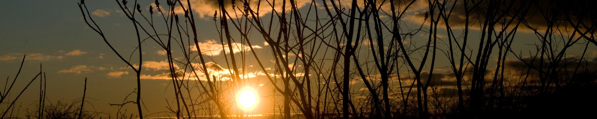 Cover for Marie T. Kolanda's Obituary