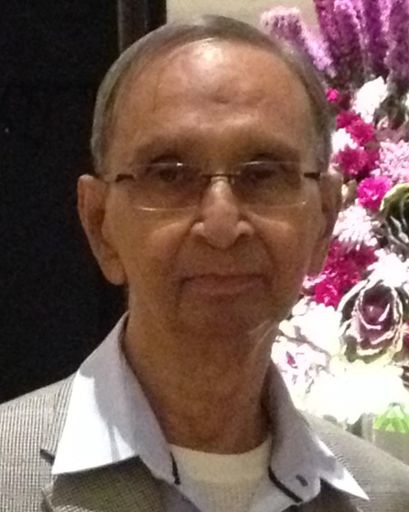Bertram DMello Profile Photo