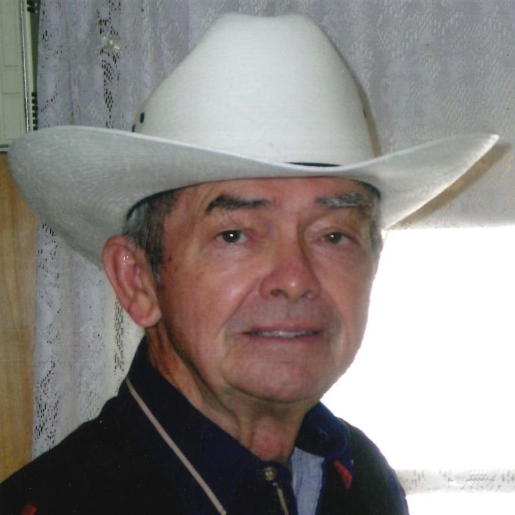 Louis H. Fitzgerald