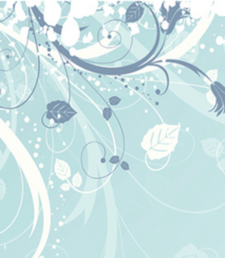 Dawn Enders Wood Profile Photo