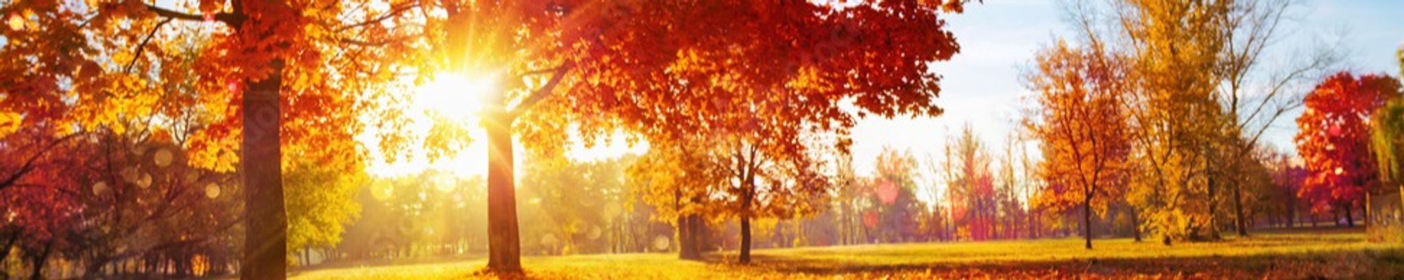 Cover photo for Timothy J. Noonan, Sr.'s Obituary