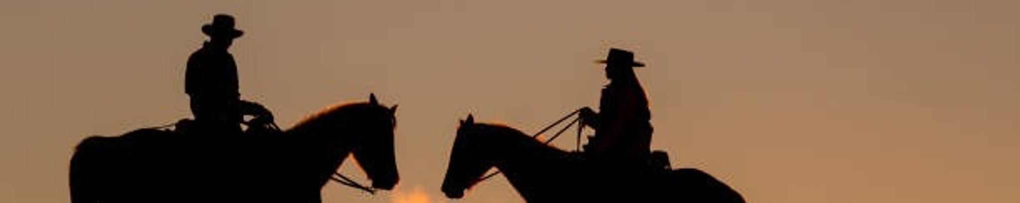 Cover for Shannon Lee Morrow's Obituary