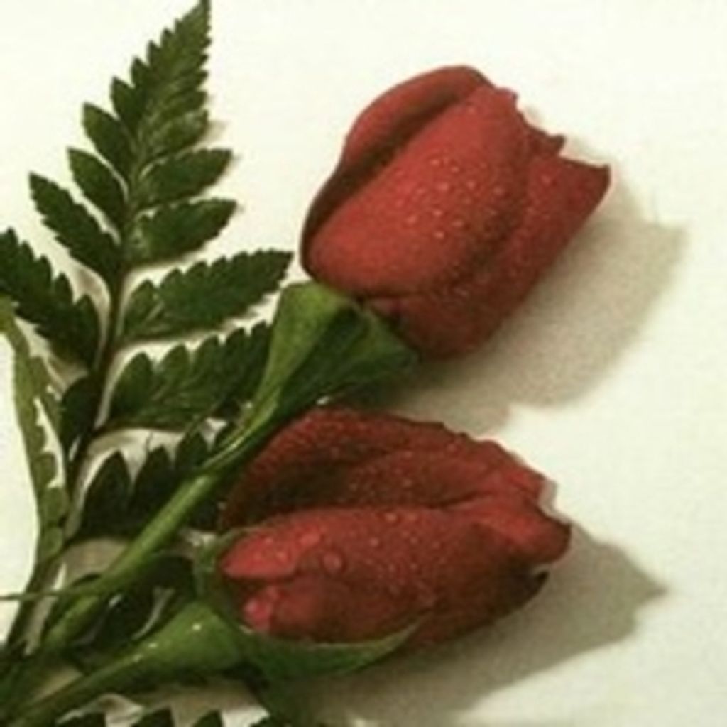 Nancy L. Rhodes Jackson