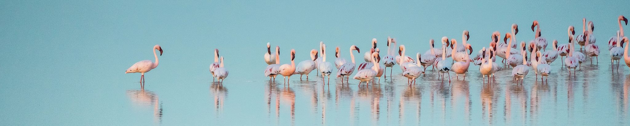 Cover for Sara "Sally" Elizabeth (Hoffman) Lindsay's Obituary