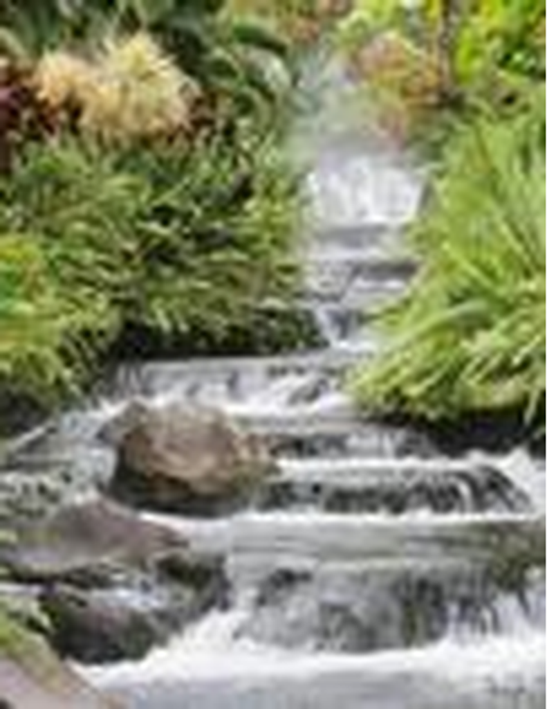 Lisa Eve Hutcheson Jackson