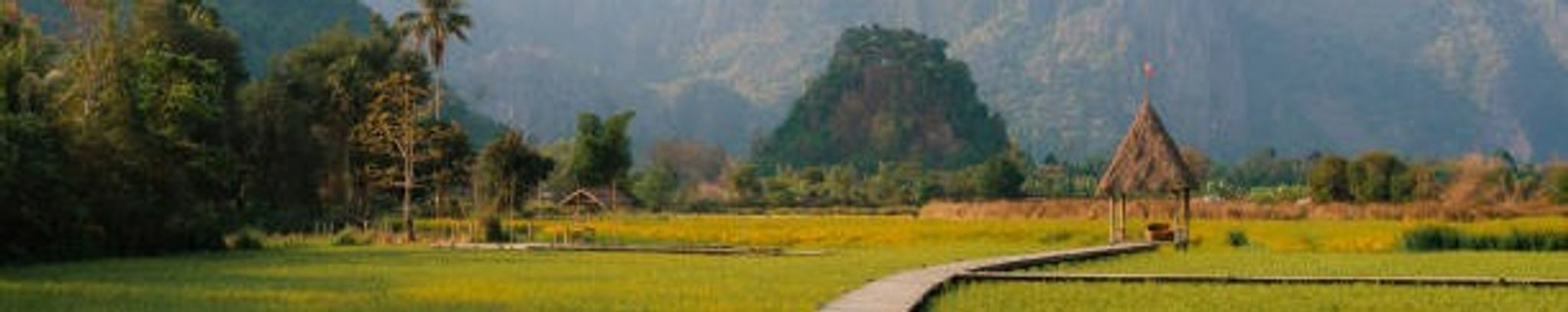 Cover for Vongpany Lieng Phonvidone's Obituary