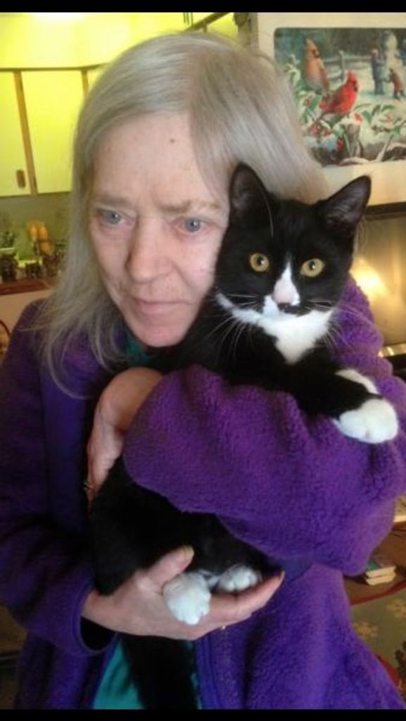 Amy L. Cervino
