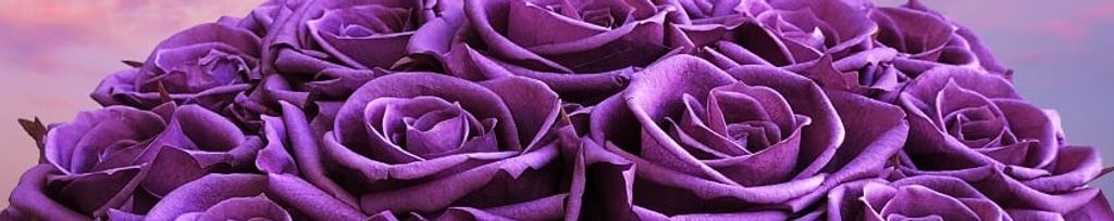 Cover photo for Rosemary E. Rose's Obituary