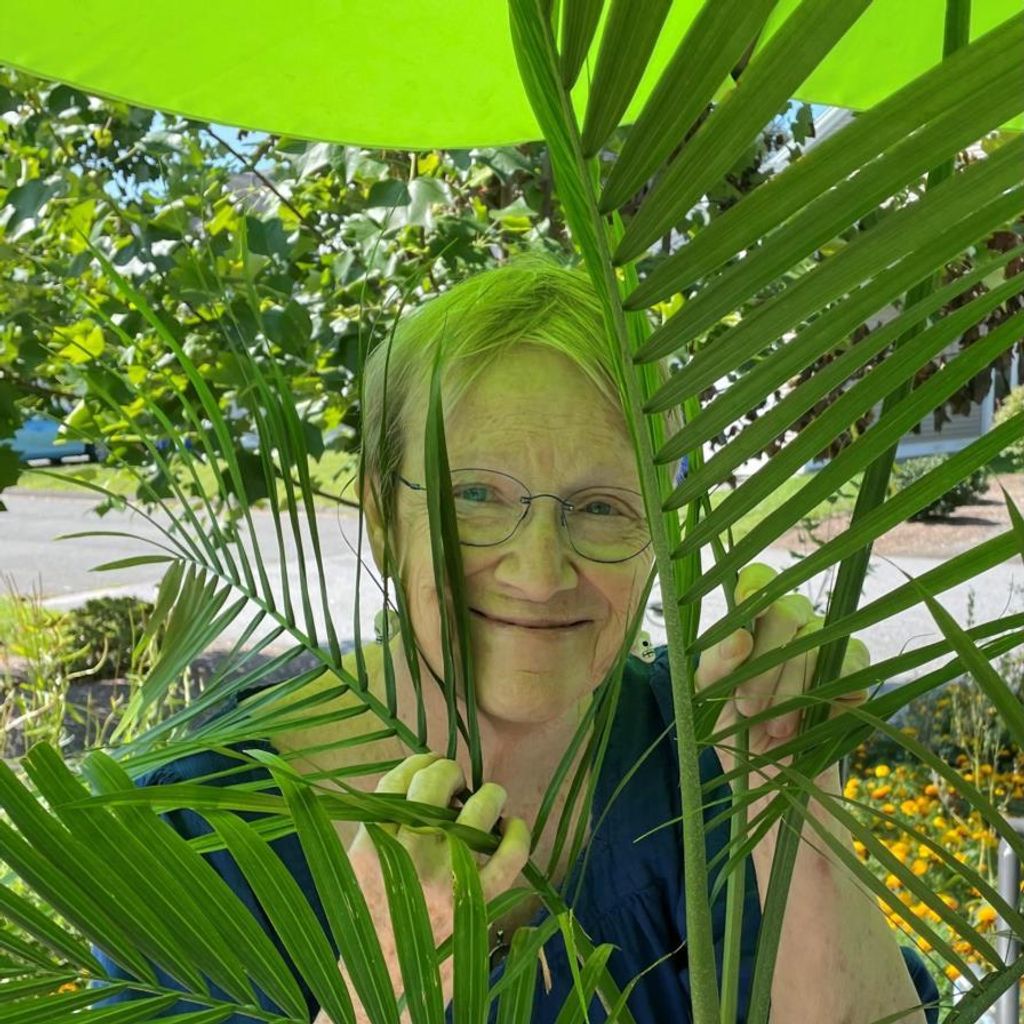 Candace A. Immer Profile Photo