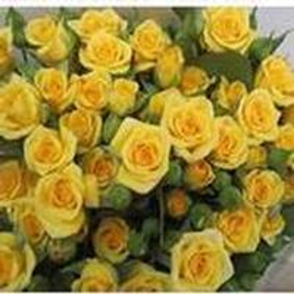 Jo Anne "Gigi" Smothers