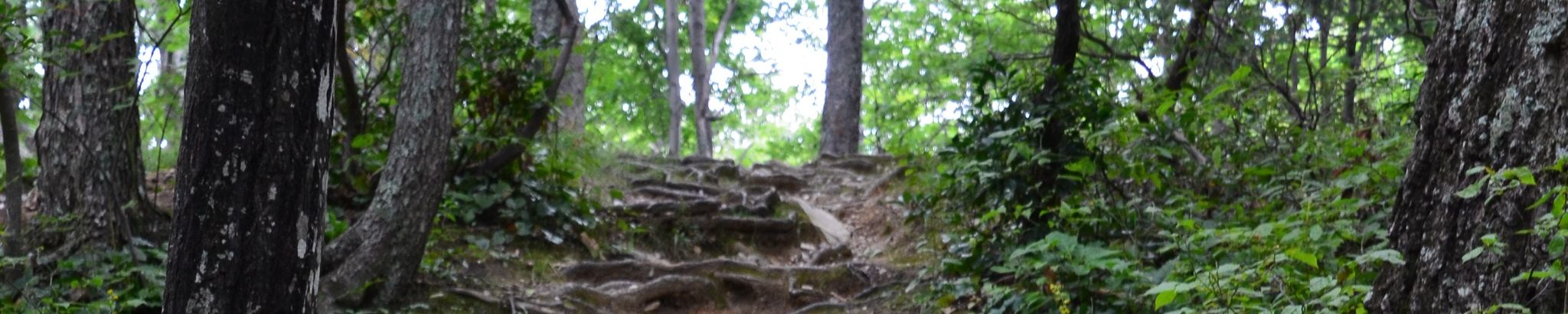 Cover for Warren Richard Mutsch's Obituary