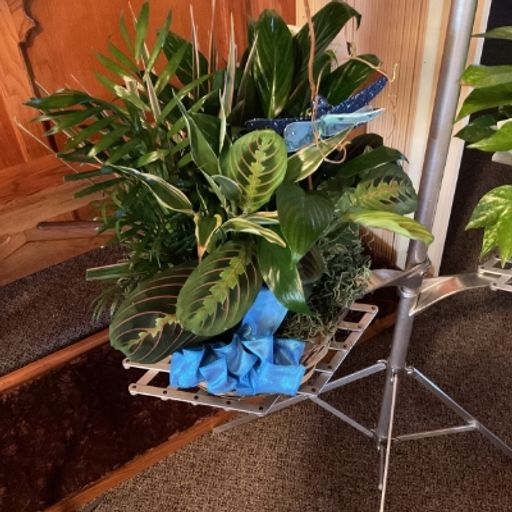 Rhonda L Yauk photo gallery thumbnail 8 of 43