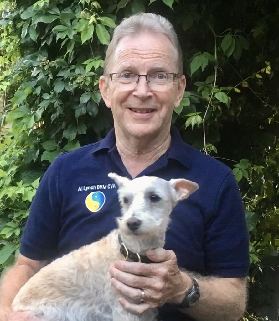 Dr. Albert William Lynch Jr.