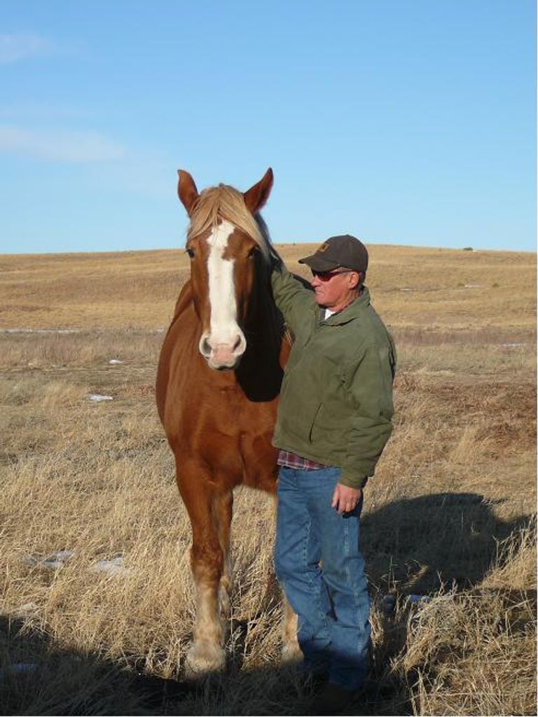 Clyde Lefler