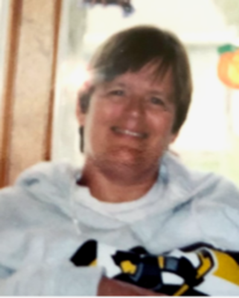 Teresa C Schmit
