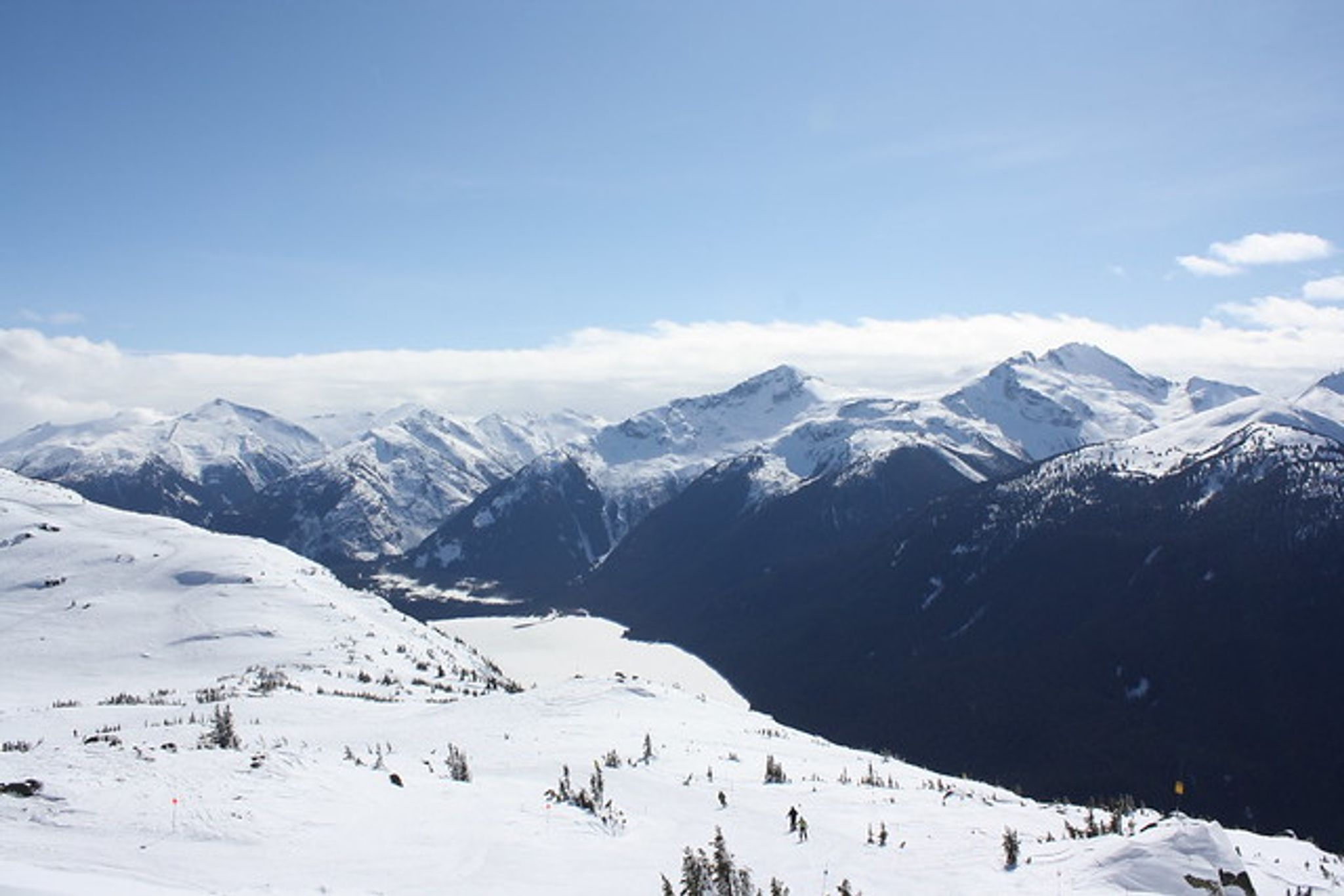 Cover photo for Bart Bauer's Obituary