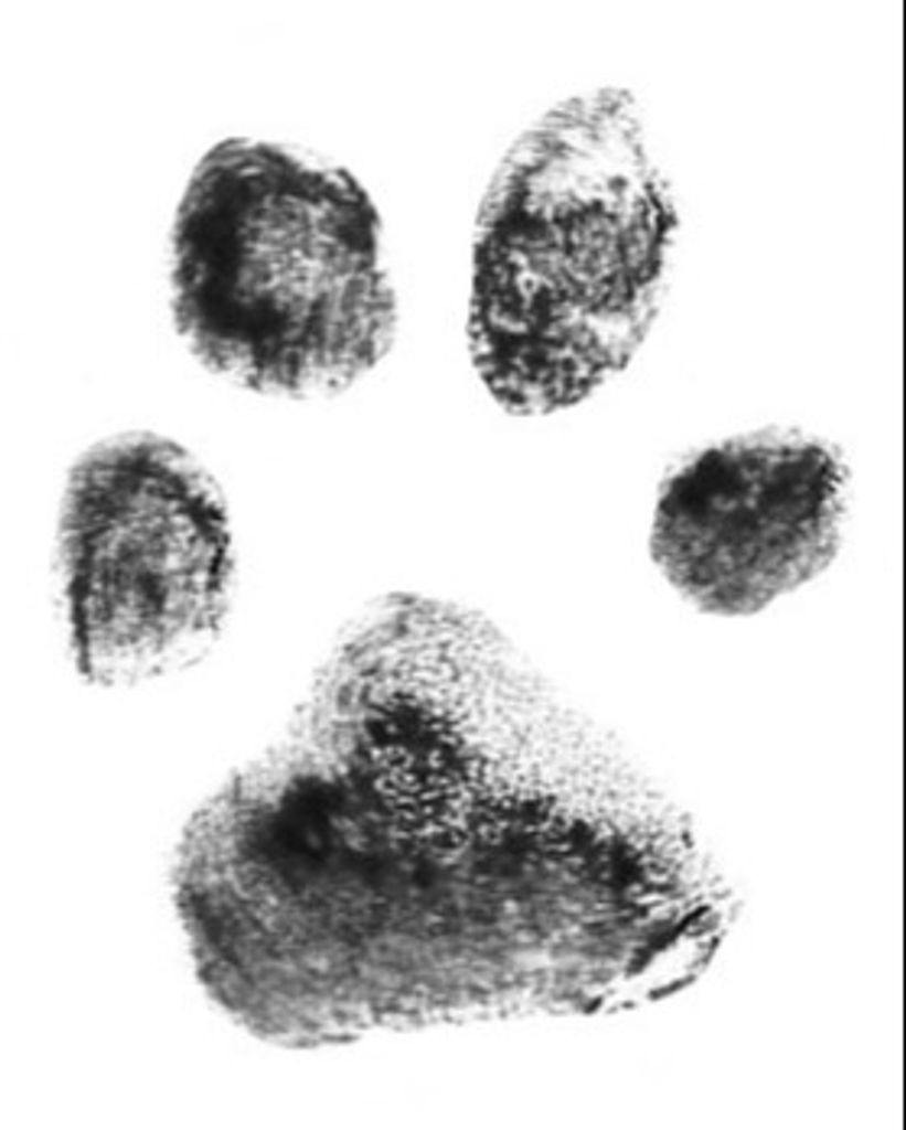 Zoey Phillips Profile Photo