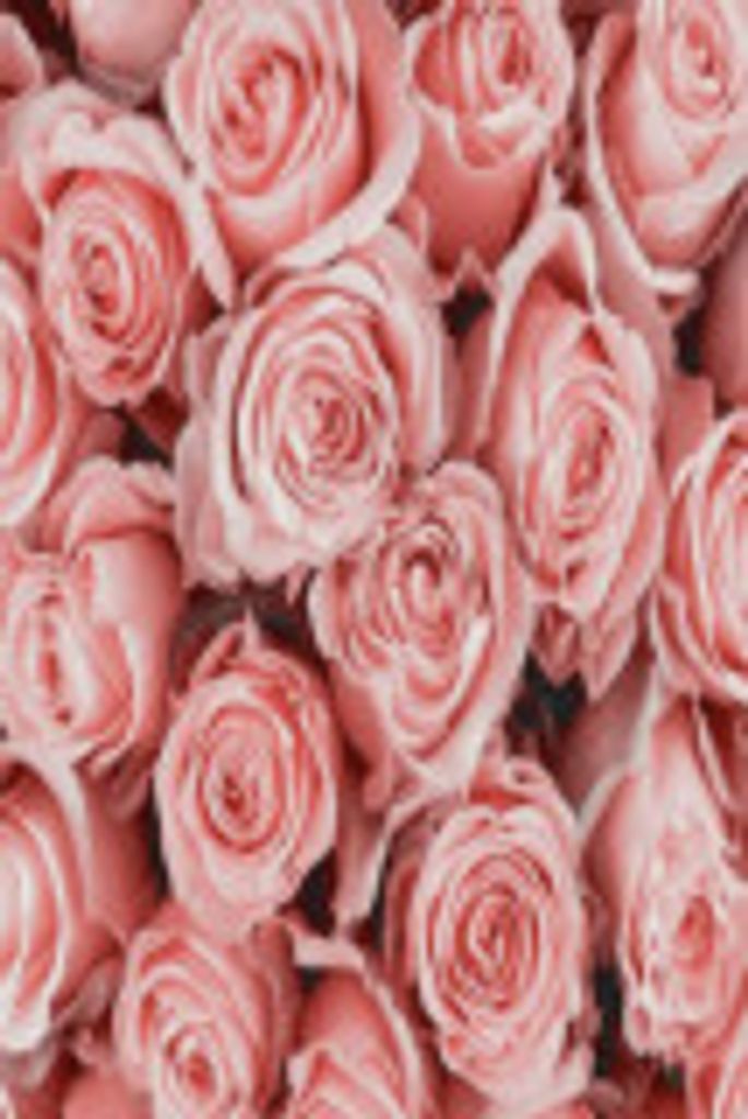 Darlene  Joy Brooks Profile Photo