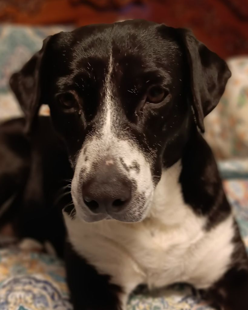 Loretta Lynn Burchfield