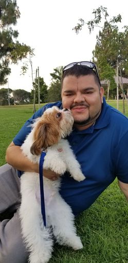 Rafael Heredia Jr photo gallery thumbnail 3 of 19