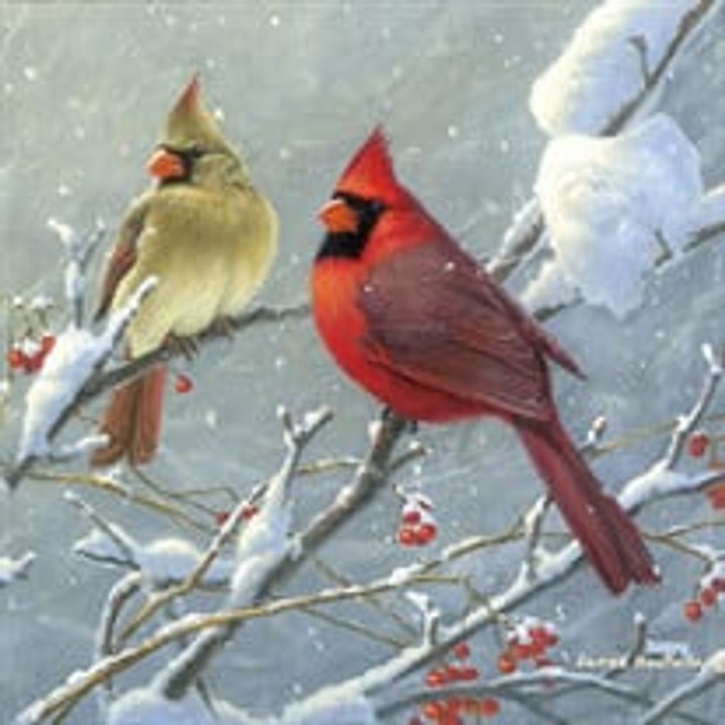 Nancy Hoover