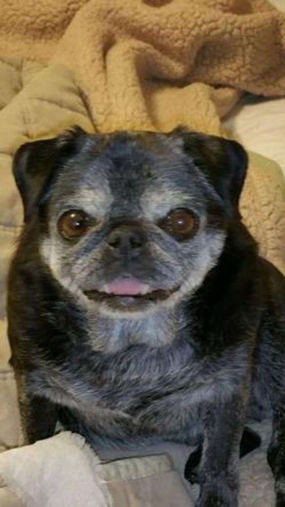 Pepper Mcgee Profile Photo