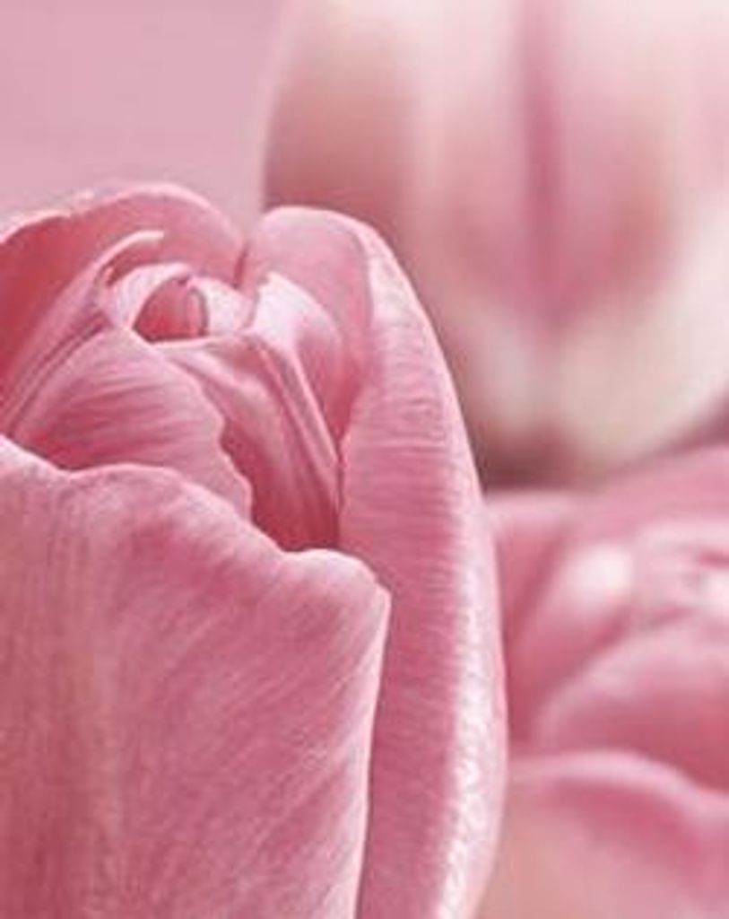 Connie Marie Mondares Profile Photo