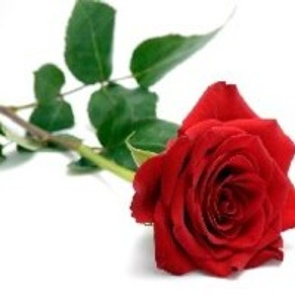 Julia (Skirchak)  Rusesky