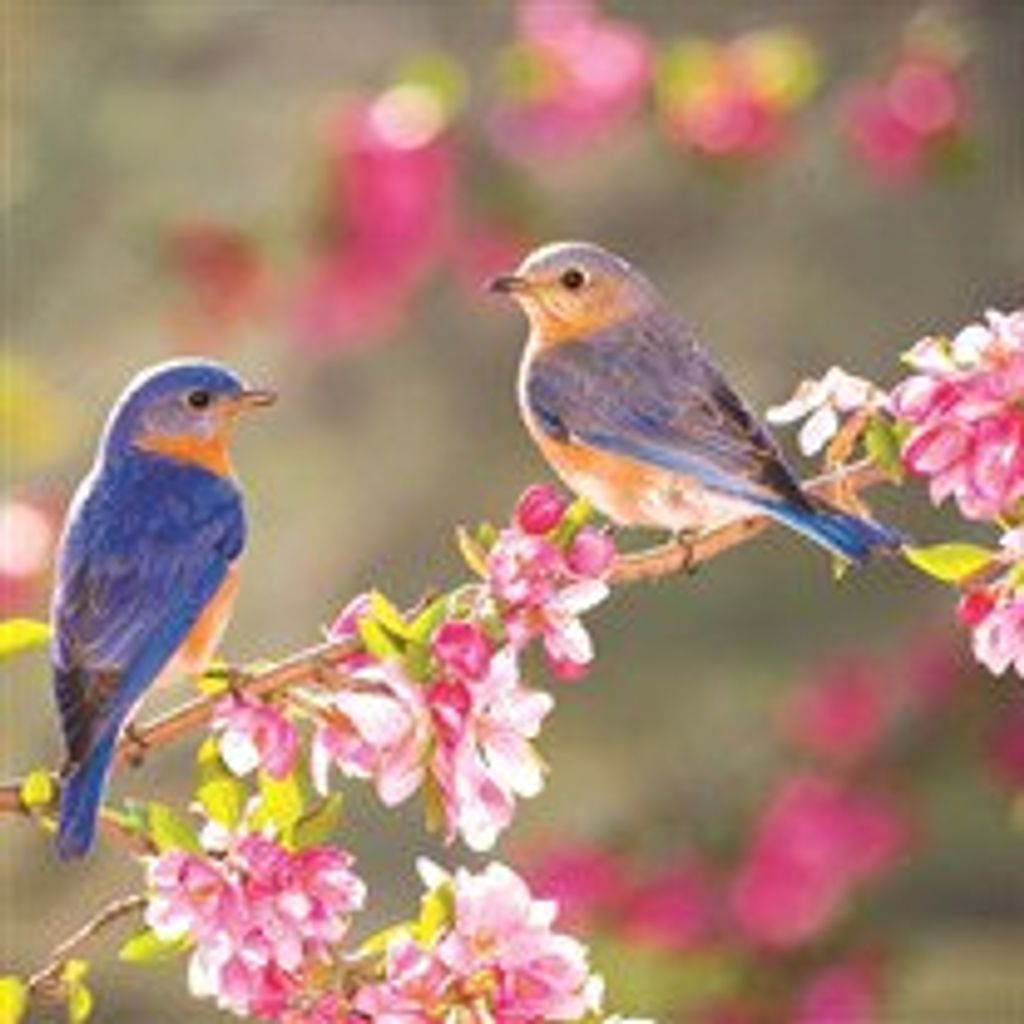 Gregory  Moishe Kushevski