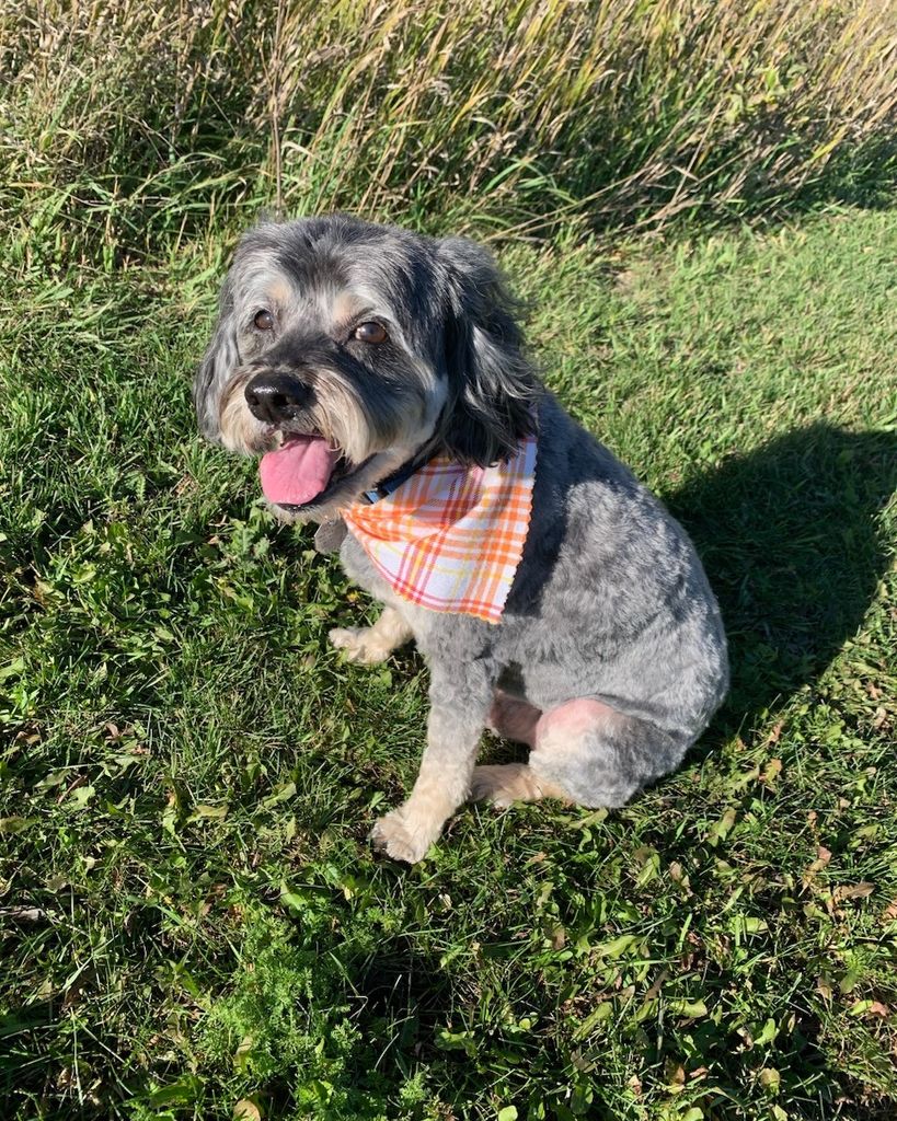 Boomer Profile Photo