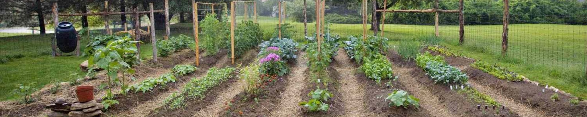 Cover for Leroy Frye's Obituary