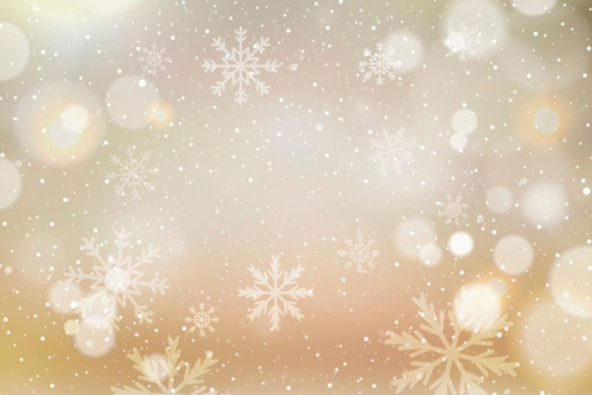 Cover photo for Antoinette Fredericks's Obituary