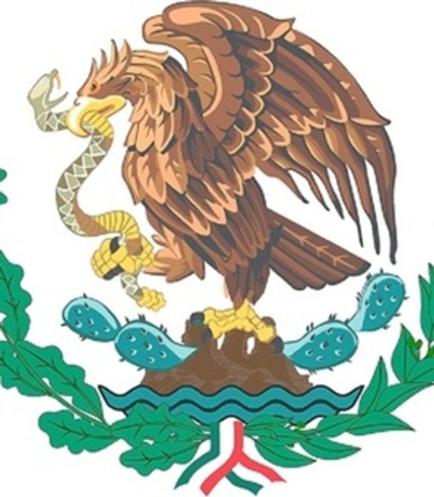Francisco Garcia Cruz