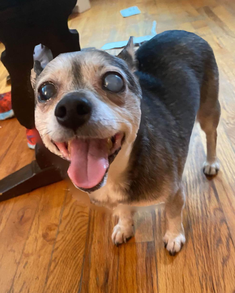 Mia Bella Profile Photo