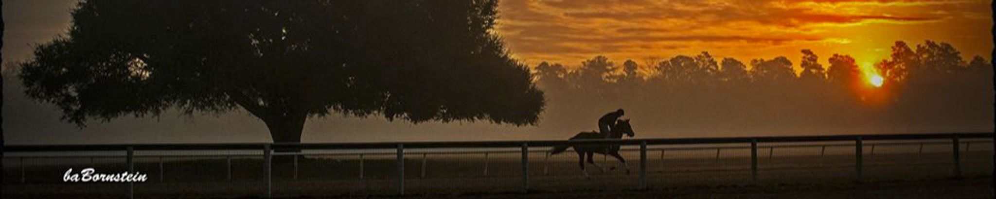 Cover for William Felter Allyn's Obituary