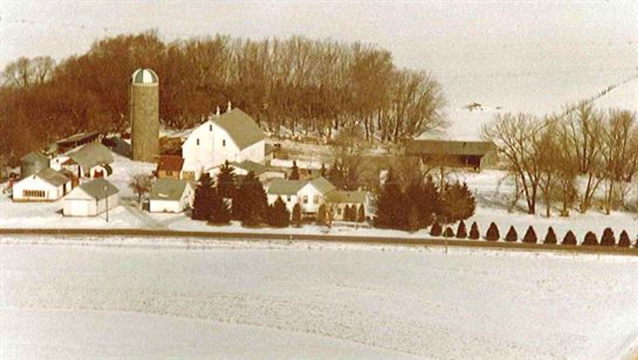 Evelyn  C. Freiheit photo gallery image 2 of 88