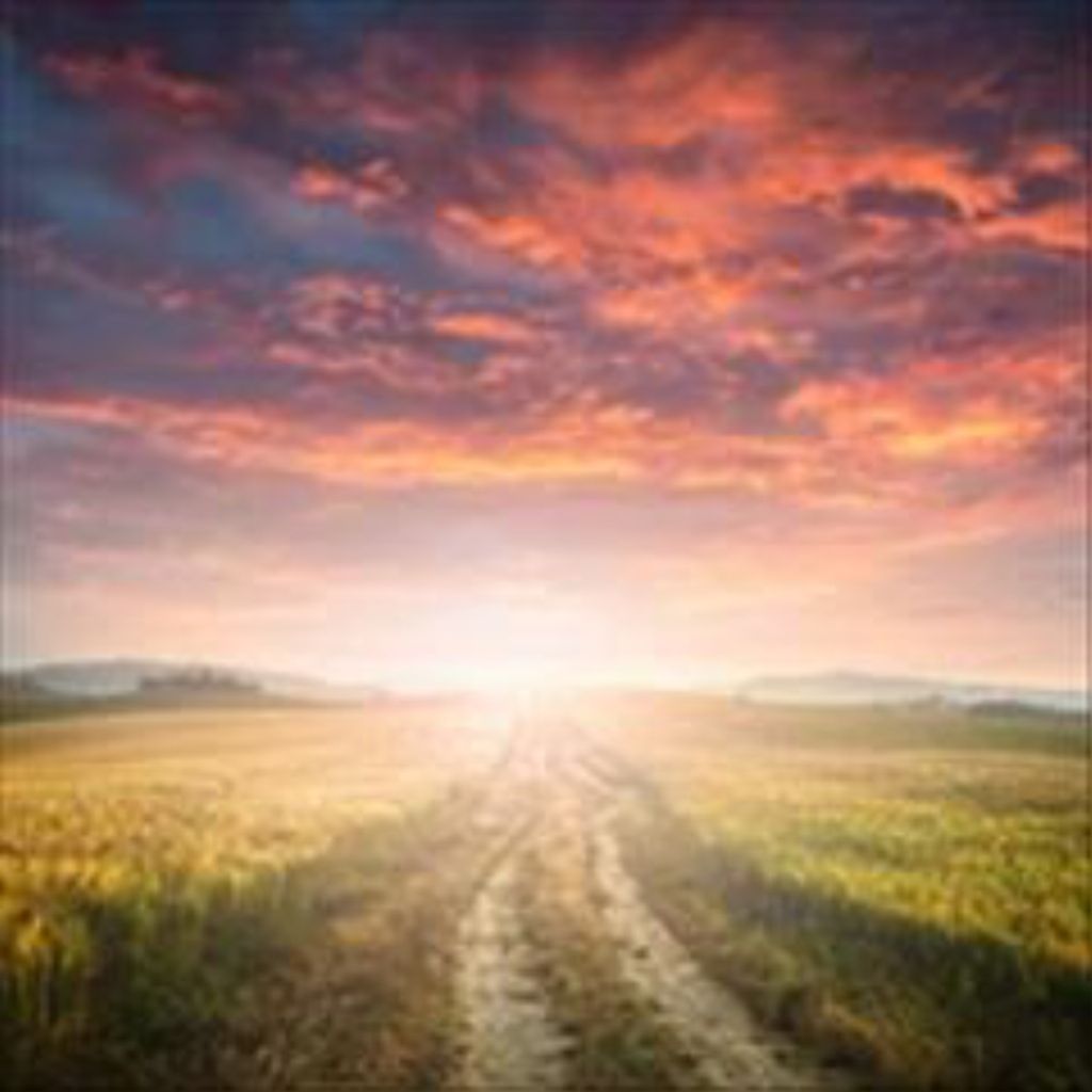 Charles T Jernigan Profile Photo