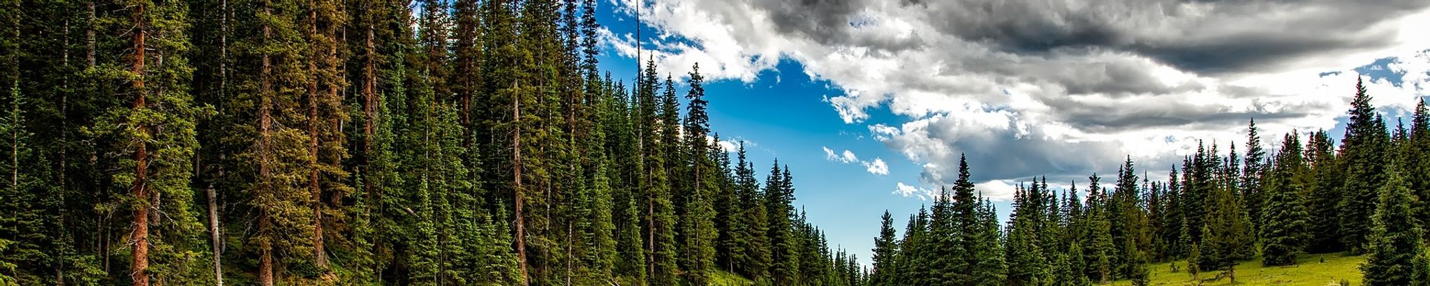 Cover for Sylvan L. Morgan's Obituary