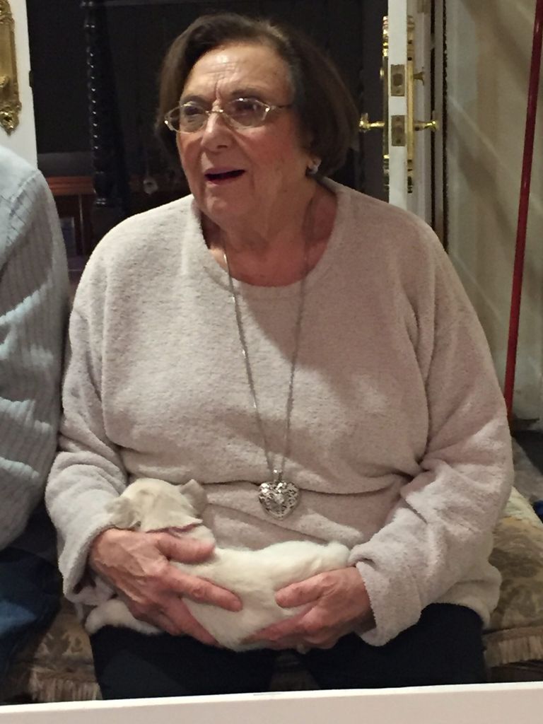 Carmela A. Hergenrother
