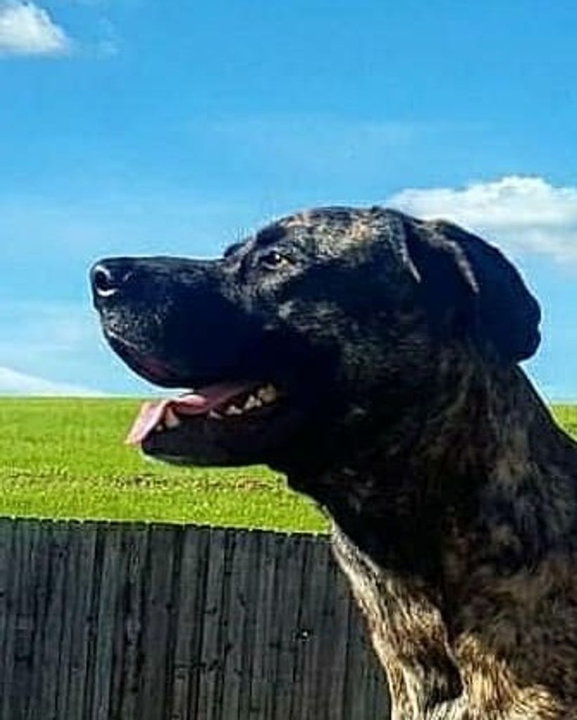 Zero O'Dell Profile Photo